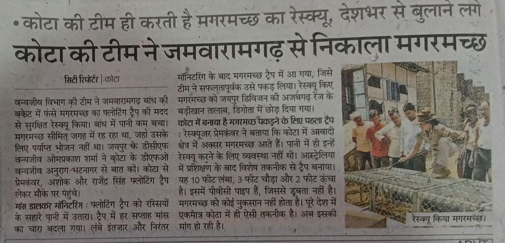 Kota Team Rescues Crocodile from Jamwa Ramgarh, Jaipur