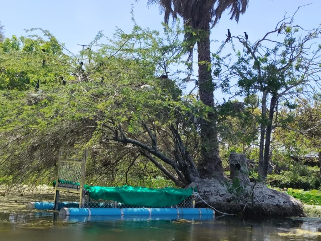 Floating Trap Prototype