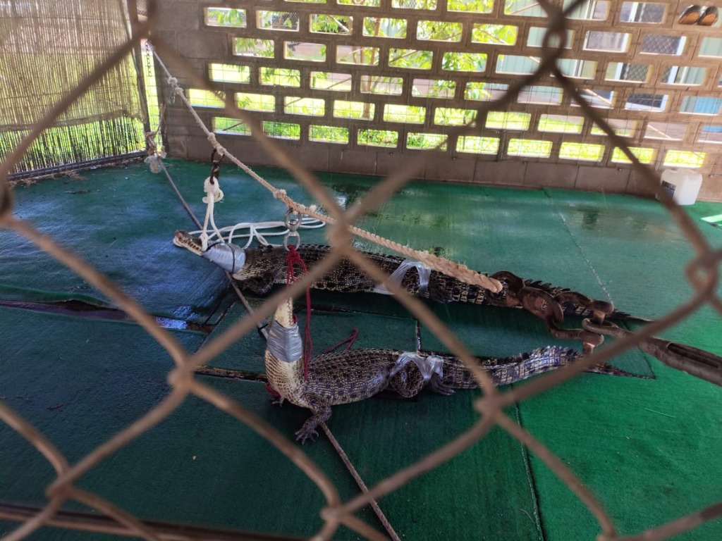 Australia Training 3